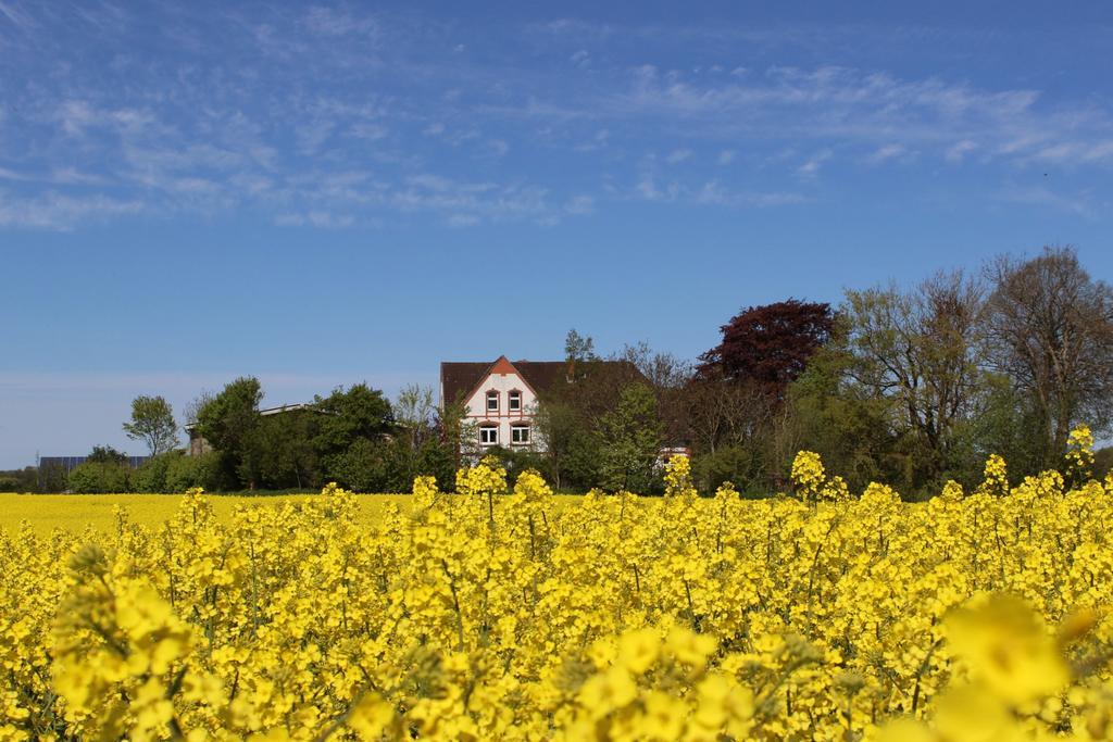 Ferienwohnung Hof Osterholz Loit Exterior foto